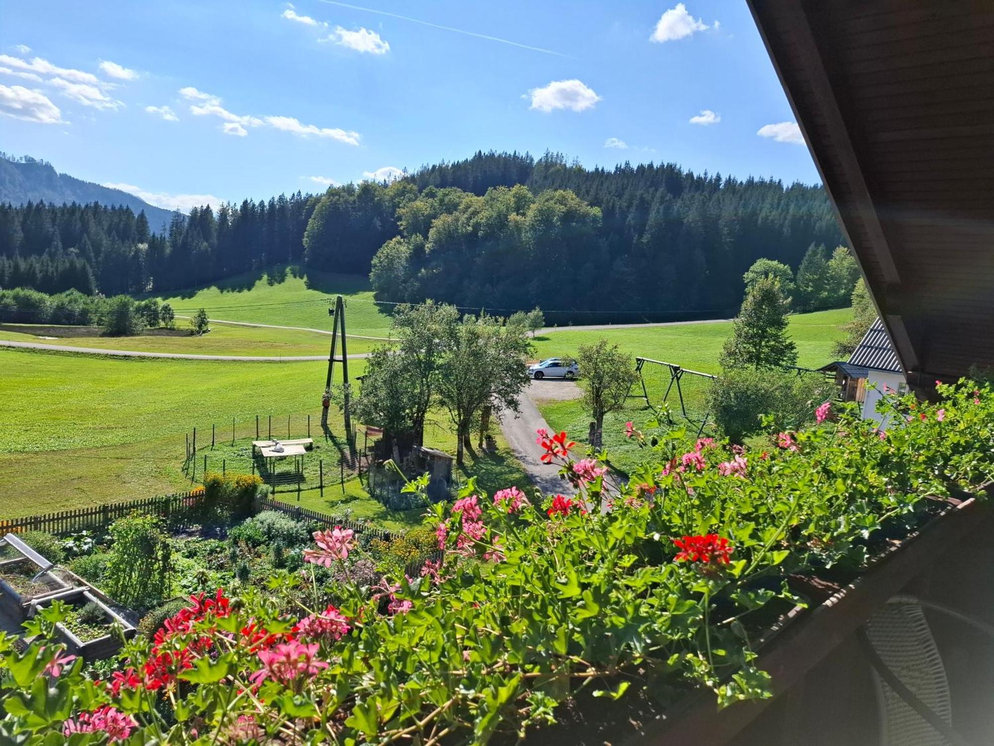 Bauernhof Ablass Göstling an der Ybbs Exterior foto